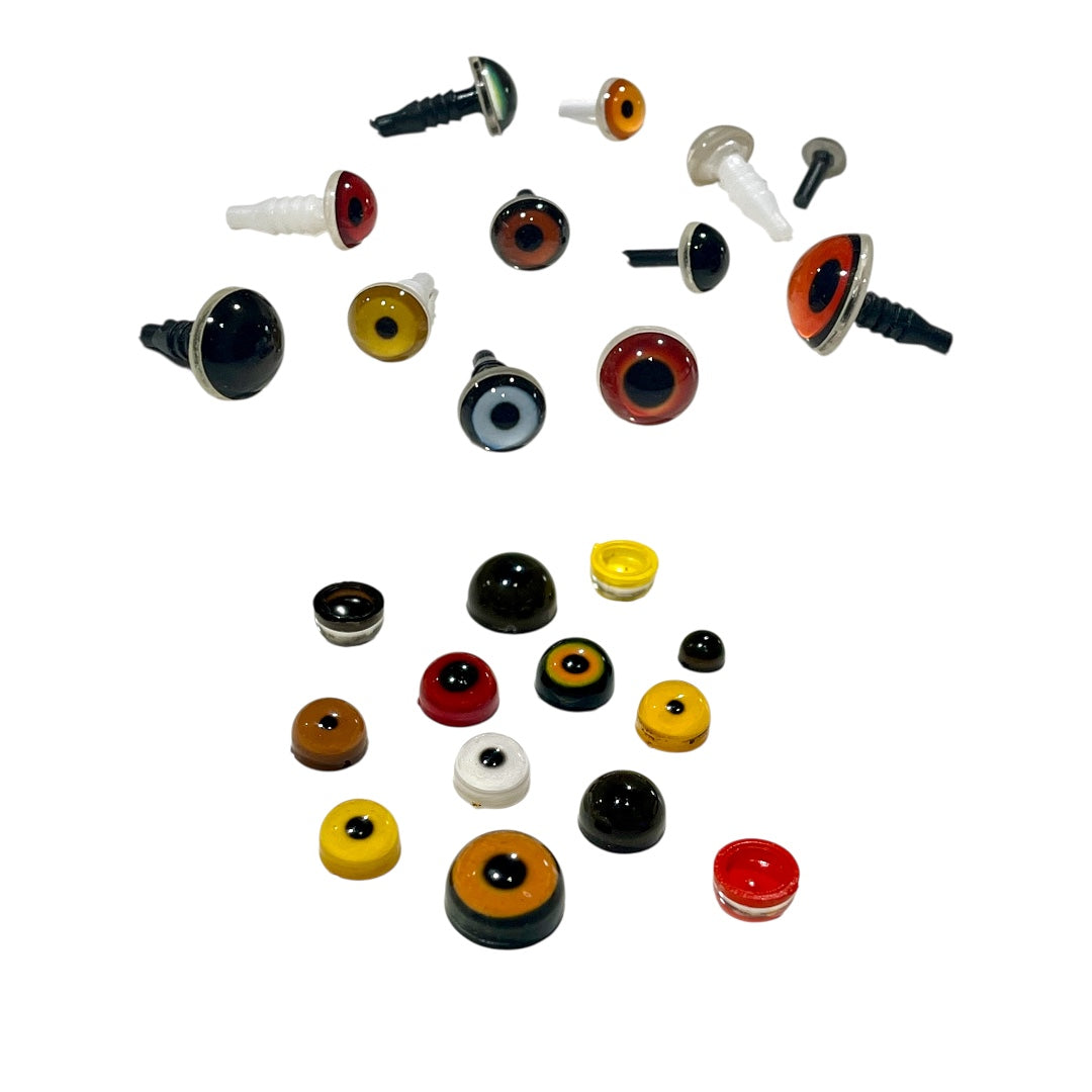 Bird Eyes - Bird Taxidermy – RMM Taxidermy Supply