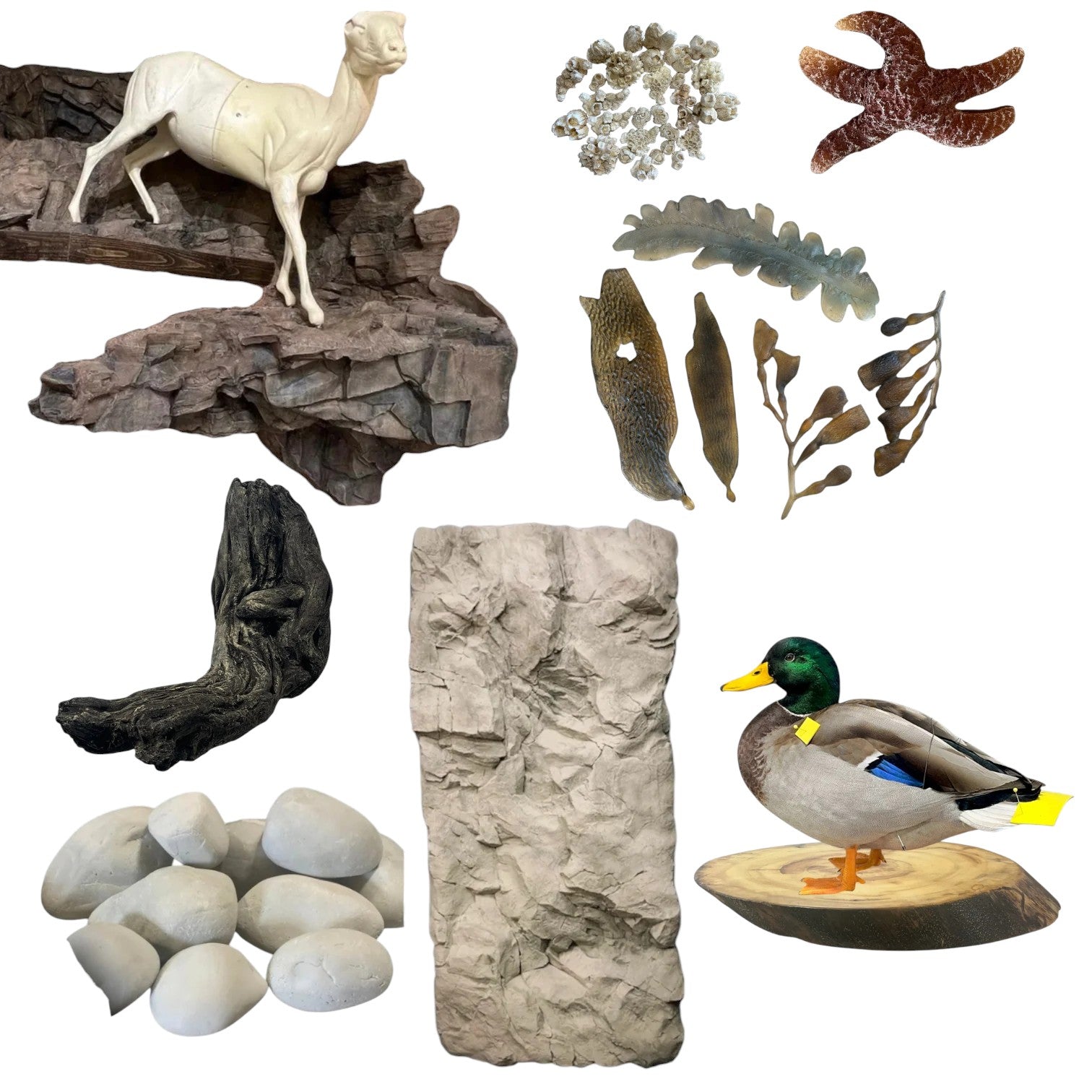 Rocks, Panels, Habitat & Bases