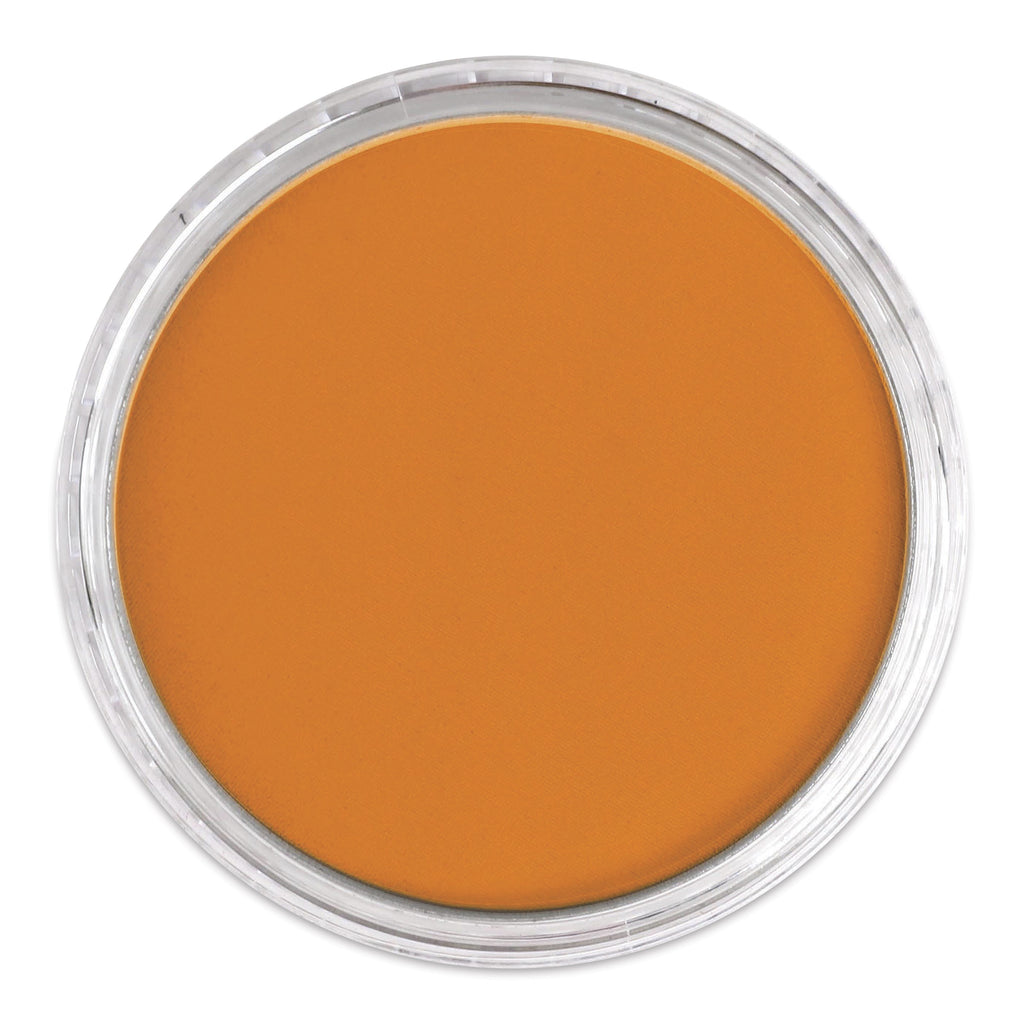 Pan Spit Color Pan Pastels for Taxidermy - Individual Colors | Rocky Mountain ...