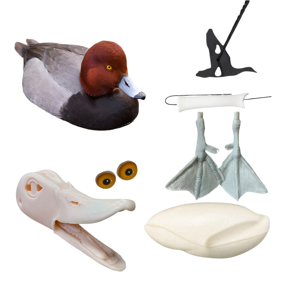 Redhead Taxidermy Kit