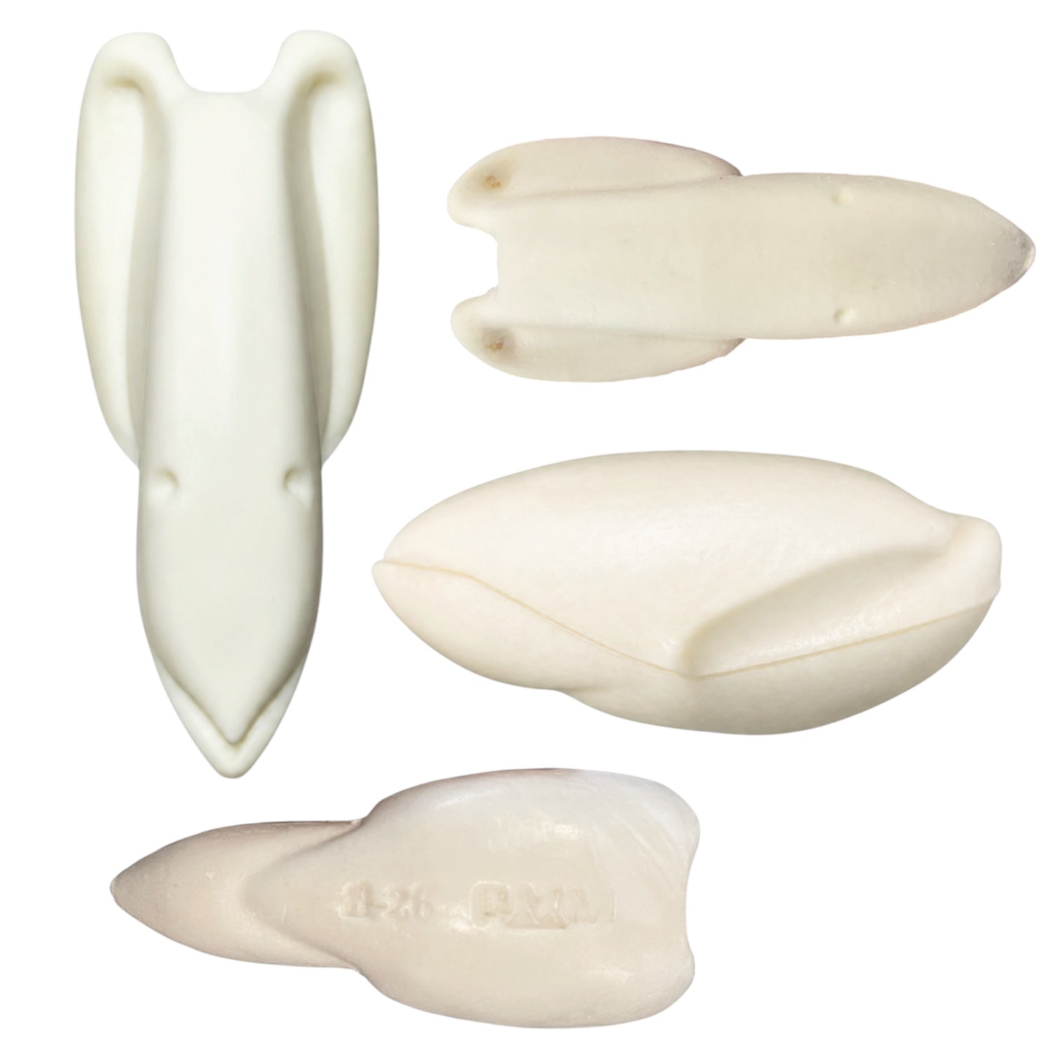 Bird Bodies
