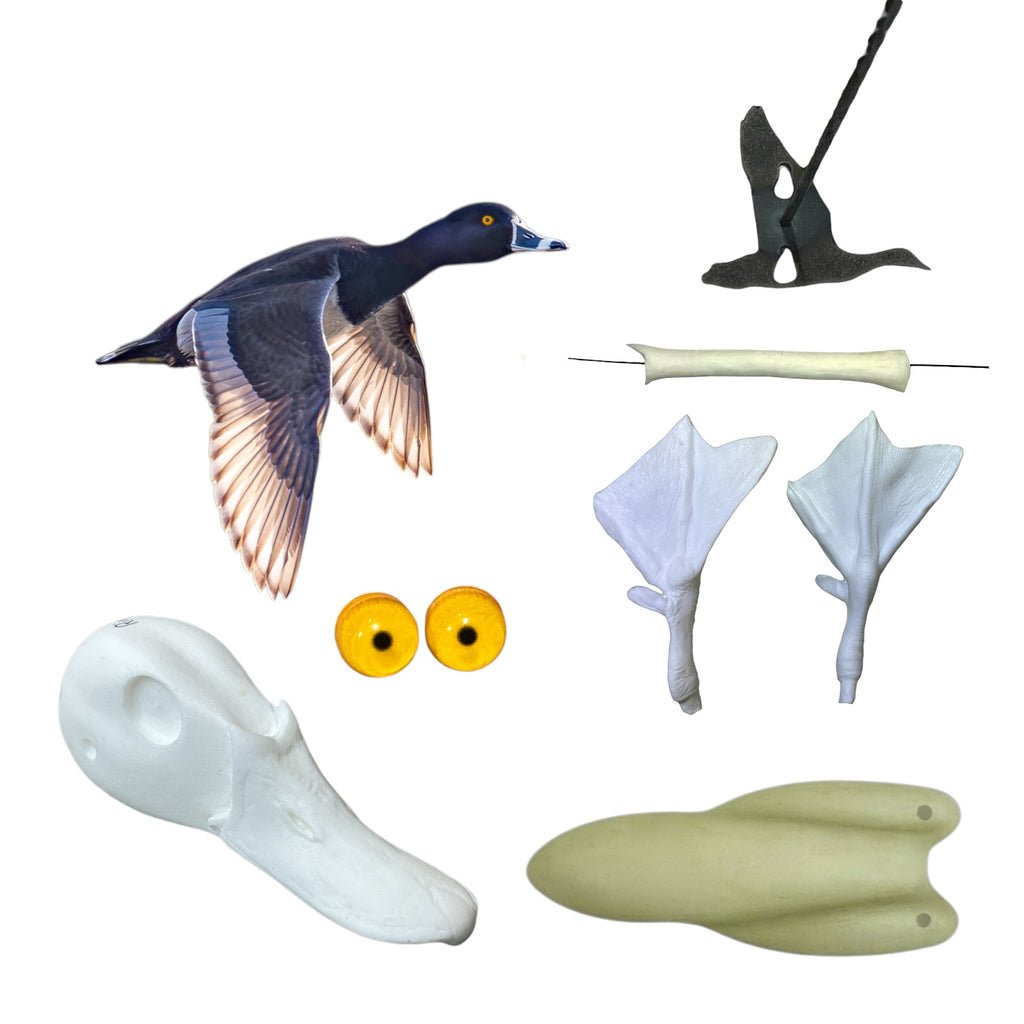 Ringneck Taxidermy Kit