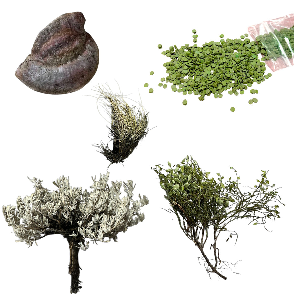 Habitat: Plants and Fungi