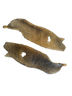 Marine Habitat: Seaweed, Shells, Starfish