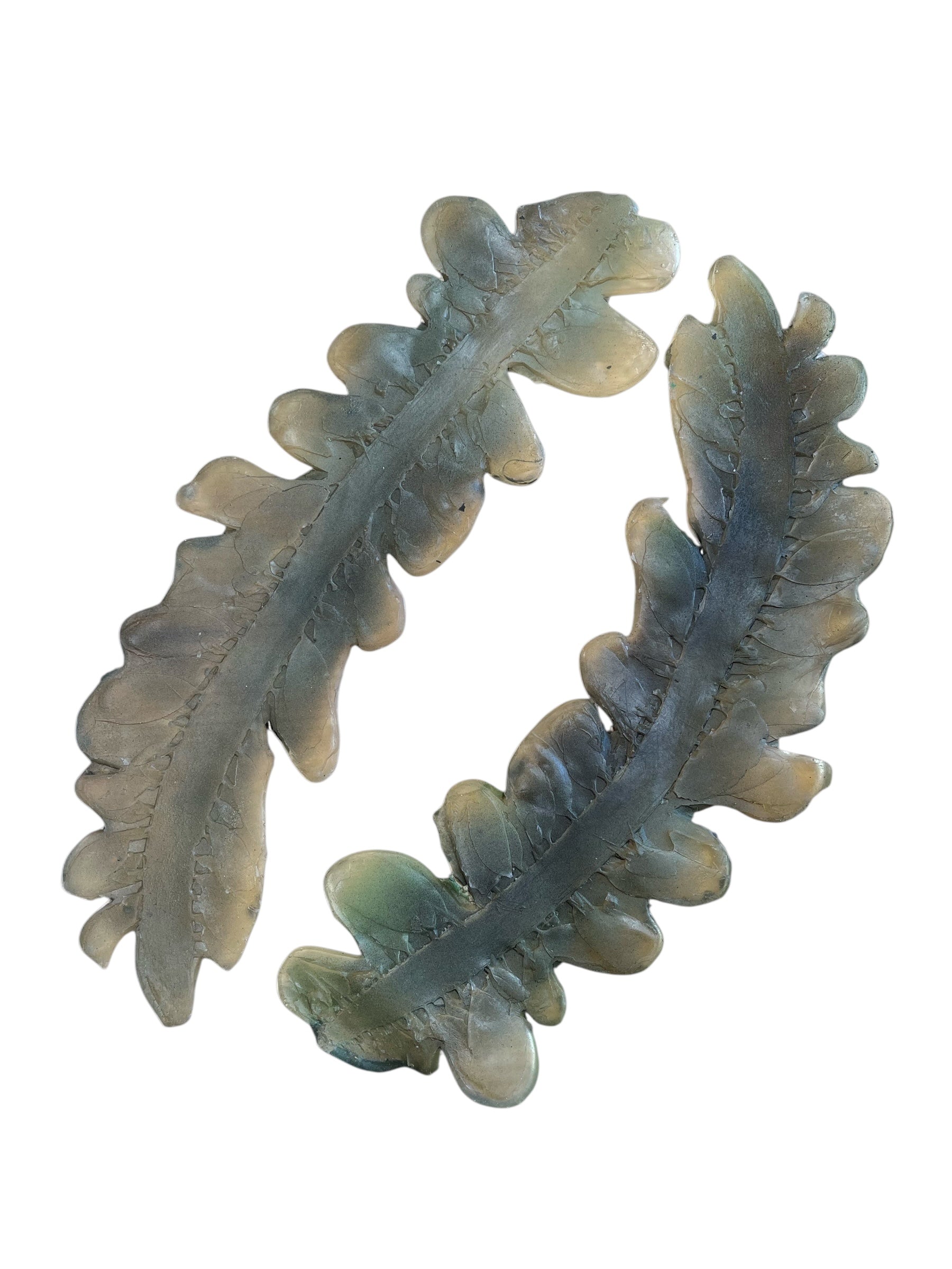 Marine Habitat: Seaweed, Shells, Starfish