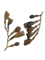 Marine Habitat: Seaweed, Shells, Starfish