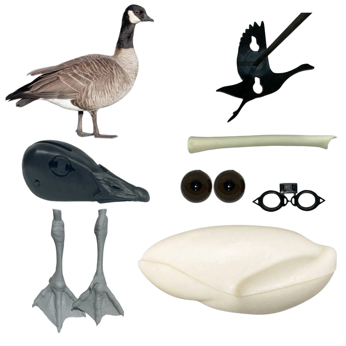 Cackler Goose Taxidermy Kit