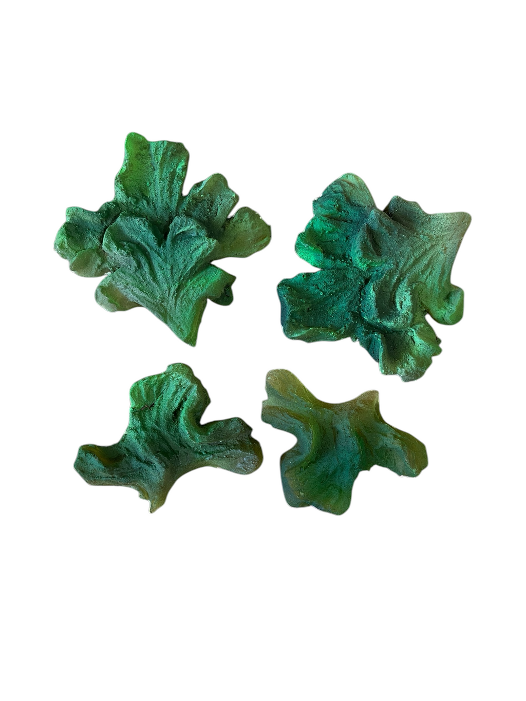 Marine Habitat: Seaweed, Shells, Starfish