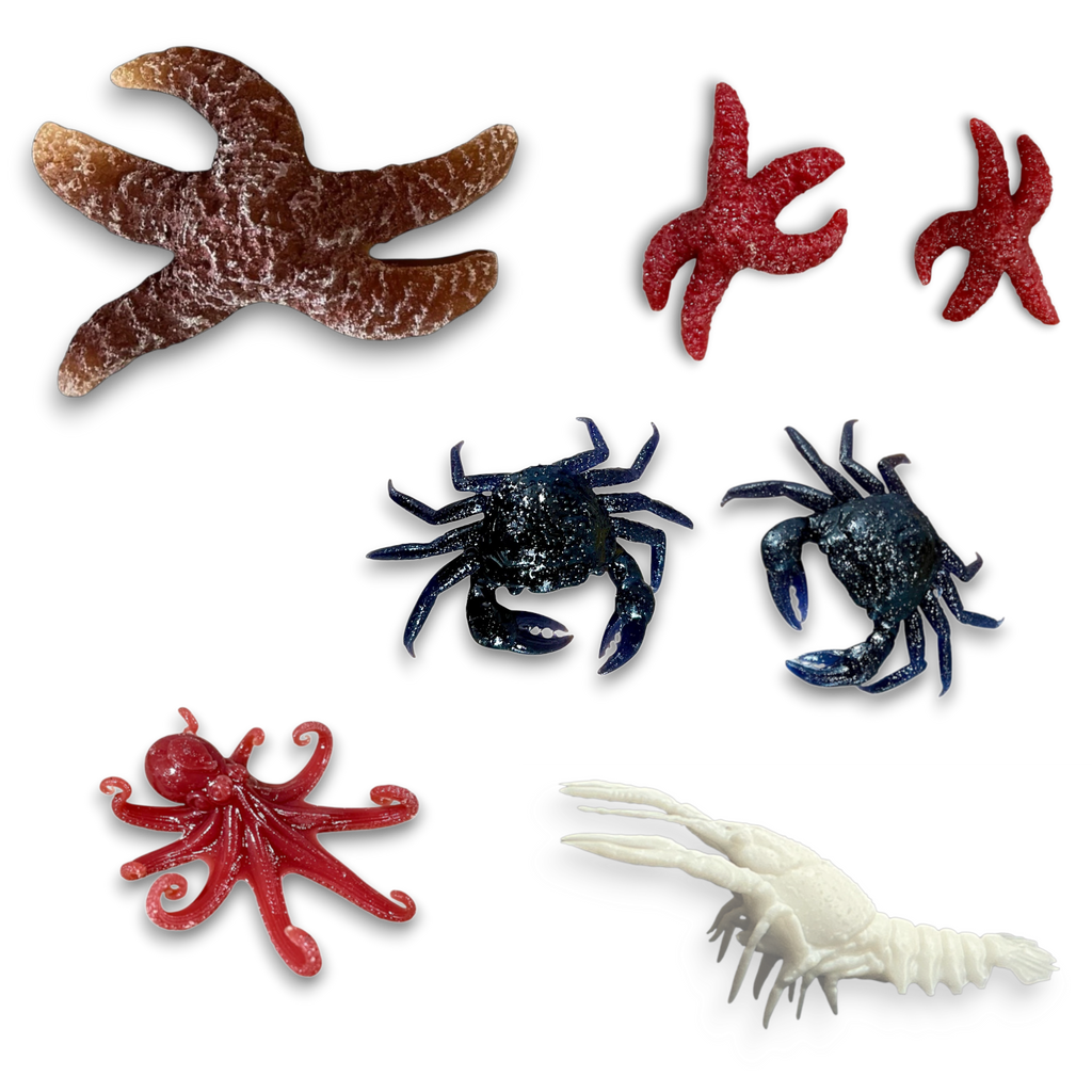 Crawfish, Crabs, Starfish, Octopus