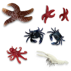 Crawfish, Crabs, Starfish, Octopus