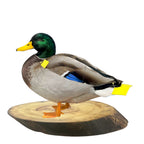 Wood Round Base