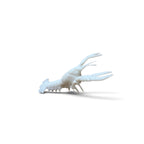 Marine Habitat: Seaweed, Shells, Starfish, Crawfish