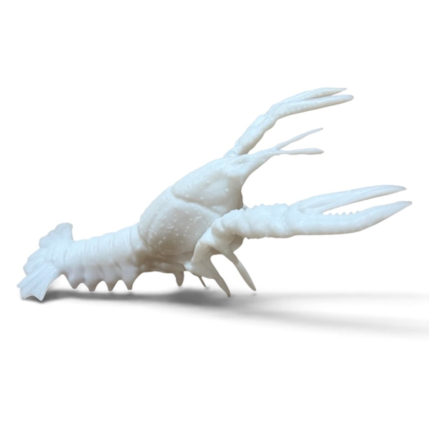 Marine Habitat: Seaweed, Shells, Starfish, Crawfish