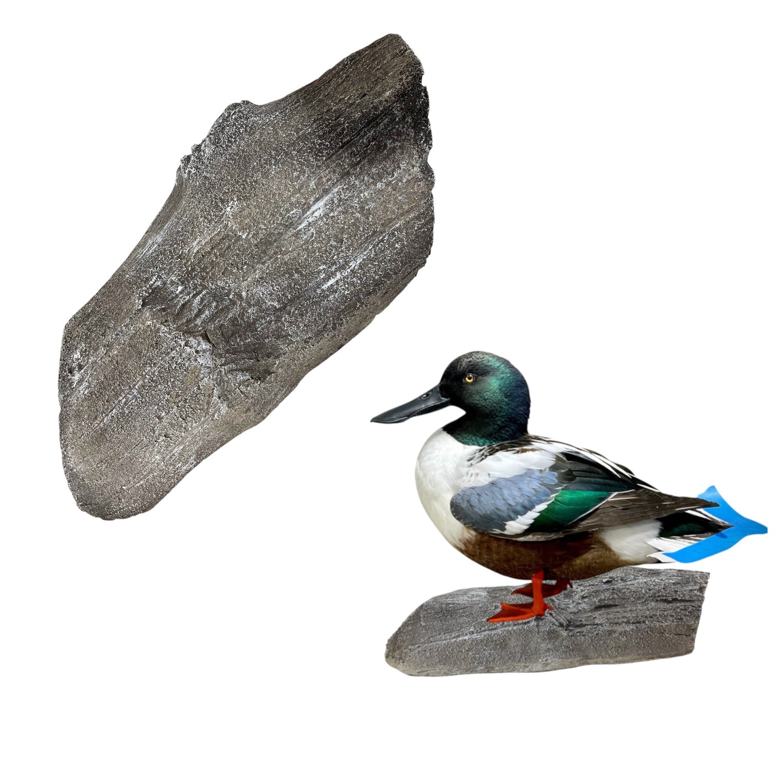 Driftwood