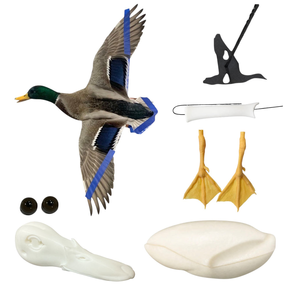 Mallard Taxidermy Kit
