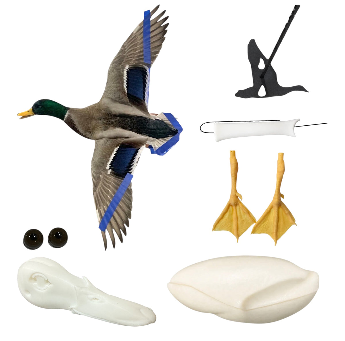 Mallard Taxidermy Kit