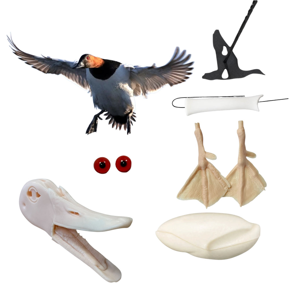 Canvasback Taxidermy Kit