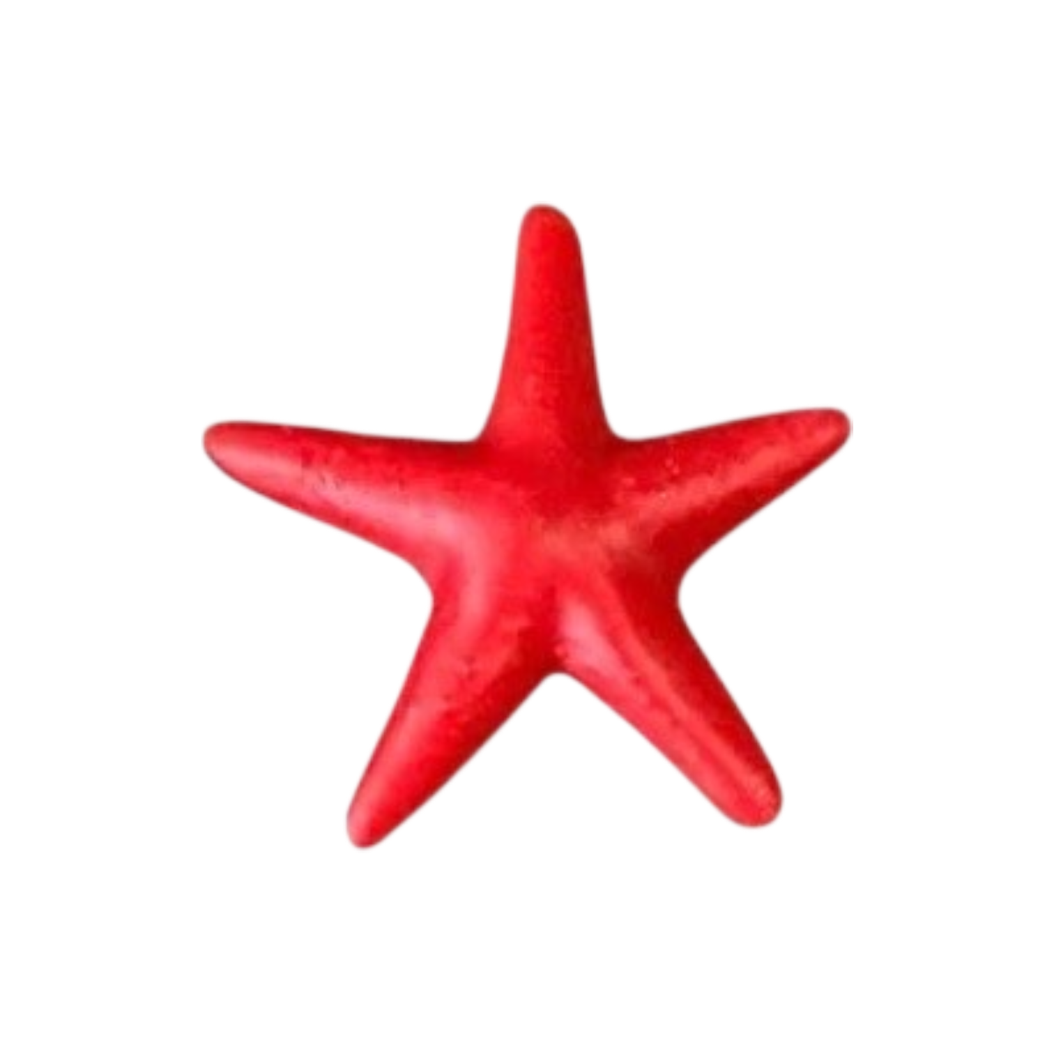 Marine Habitat: Seaweed, Shells, Starfish, Crawfish