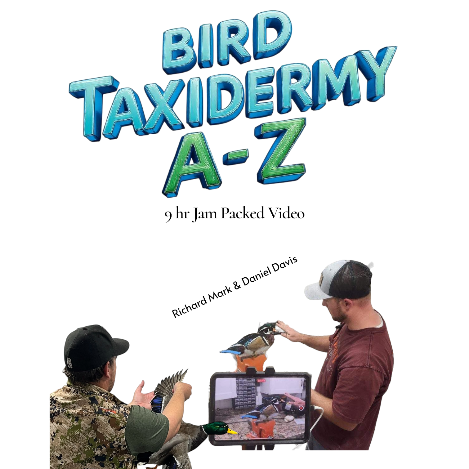 The Complete Mounting Process