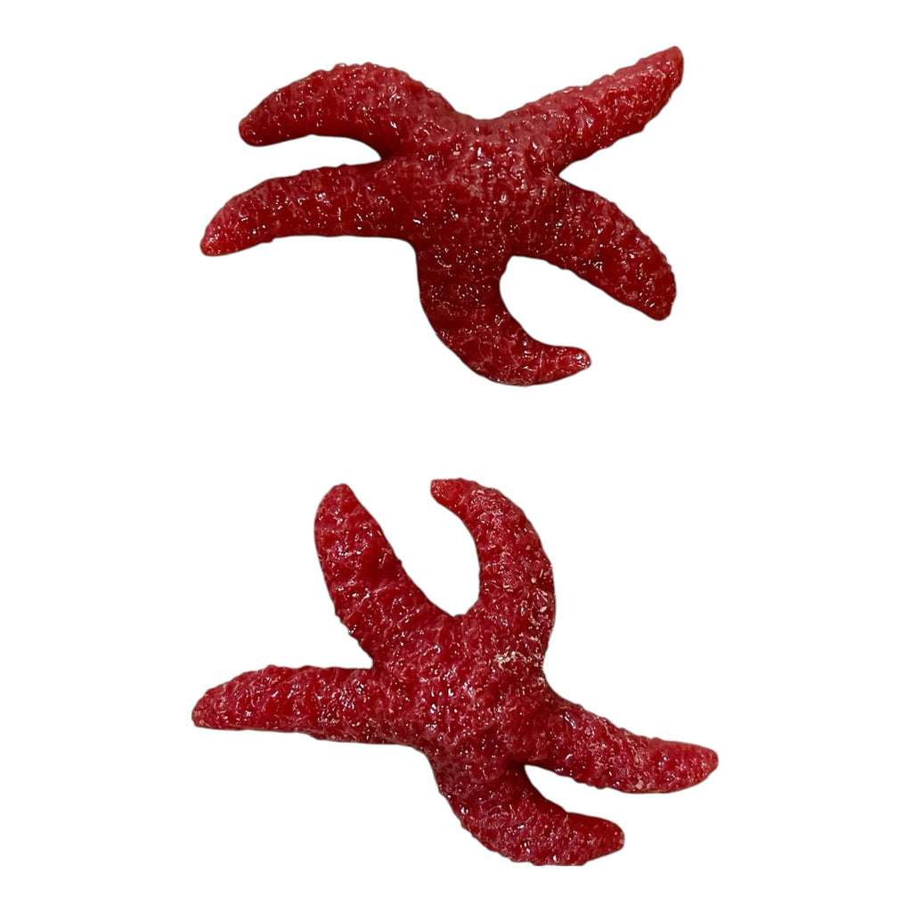 Crawfish, Crabs, Starfish, Octopus