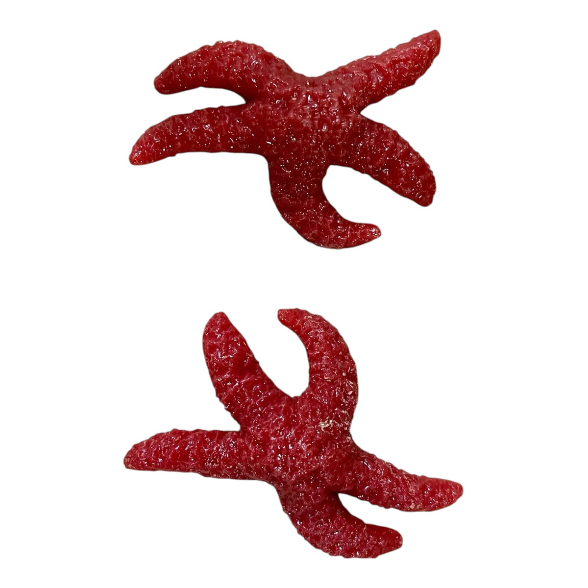 Crawfish, Crabs, Starfish, Octopus