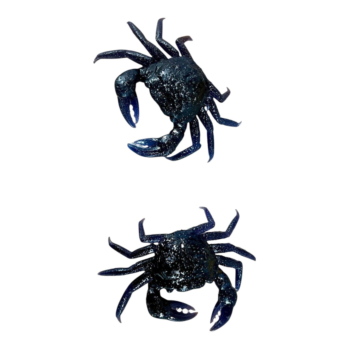 Crawfish, Crabs, Starfish, Octopus