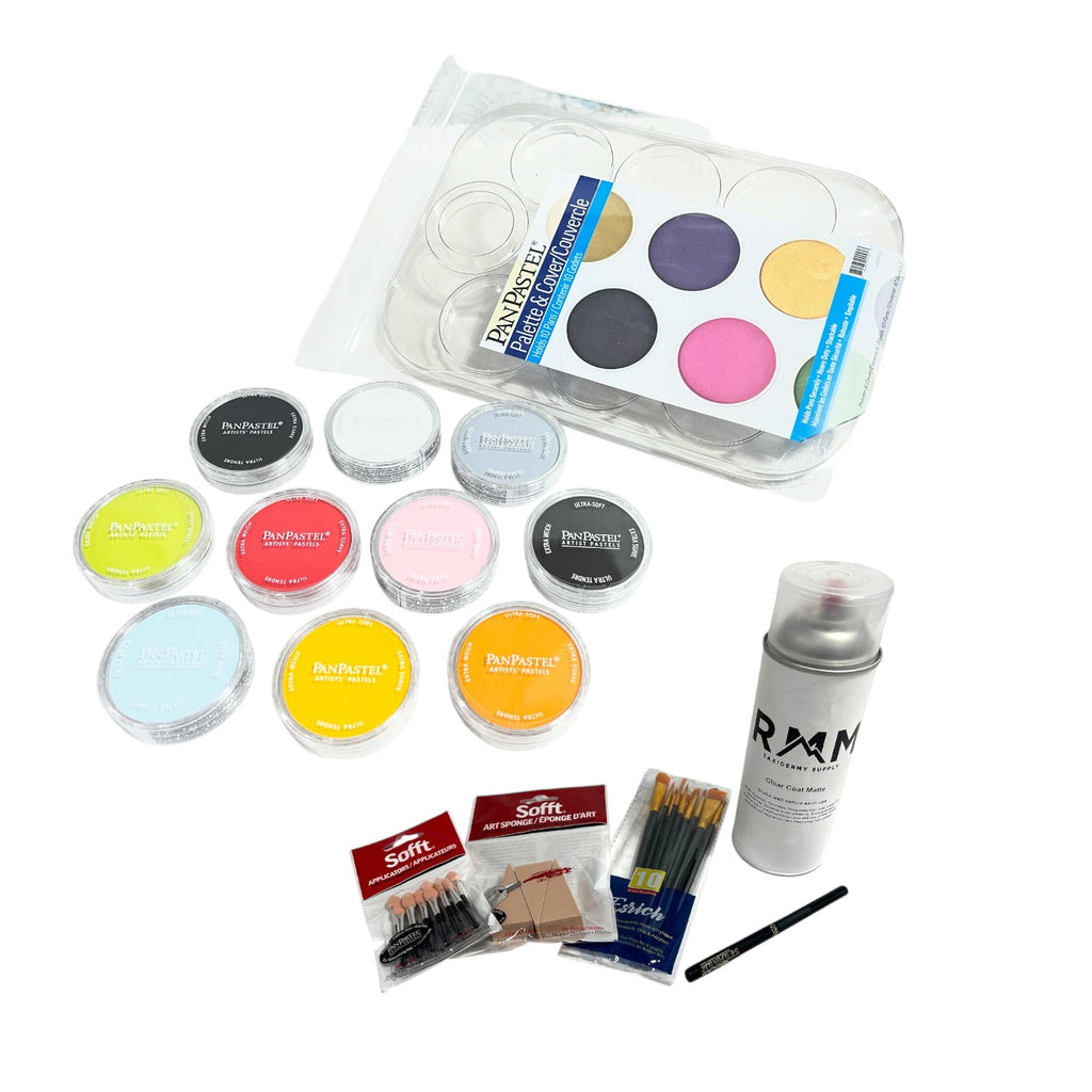 Pan Pastel Color Kits – RMM Taxidermy Supply